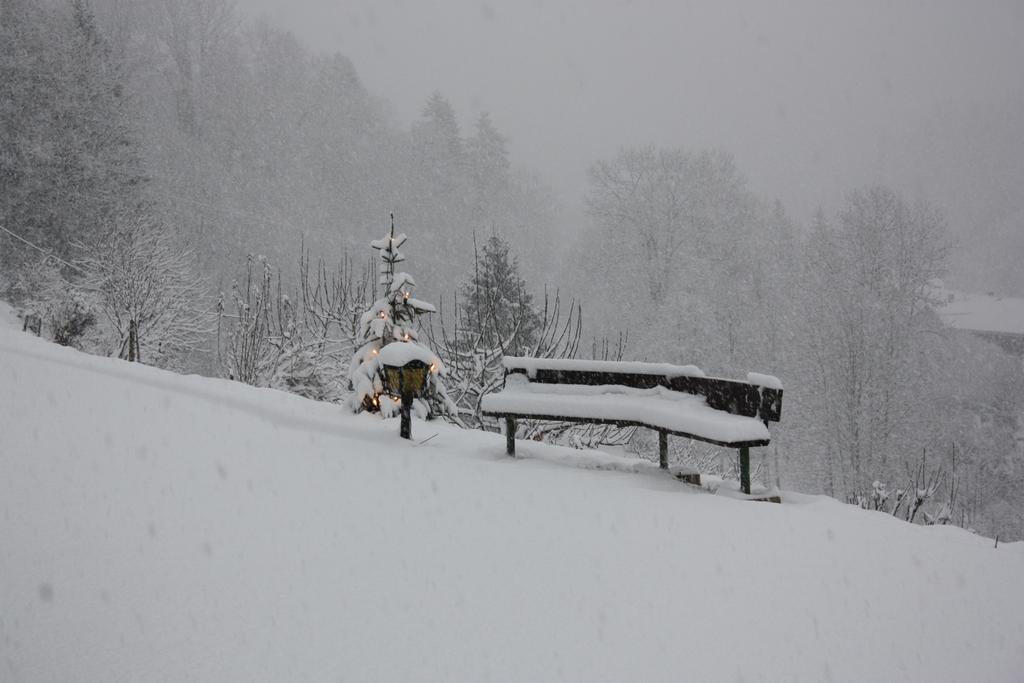 Alpenferienwohnungen Wiesenlehen Berchtesgaden Exterior photo